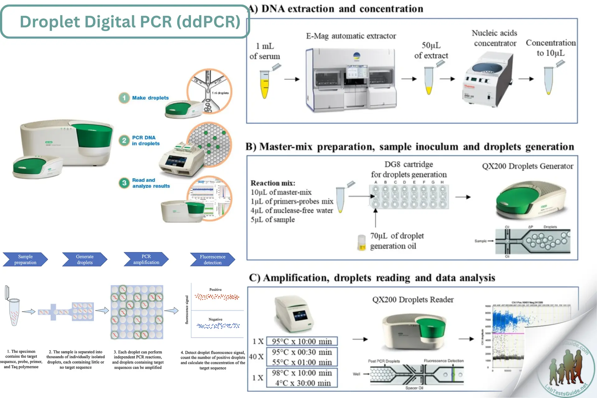 Droplet Digital PCR (ddPCR) Purpose, Types, Procedure, Result ...