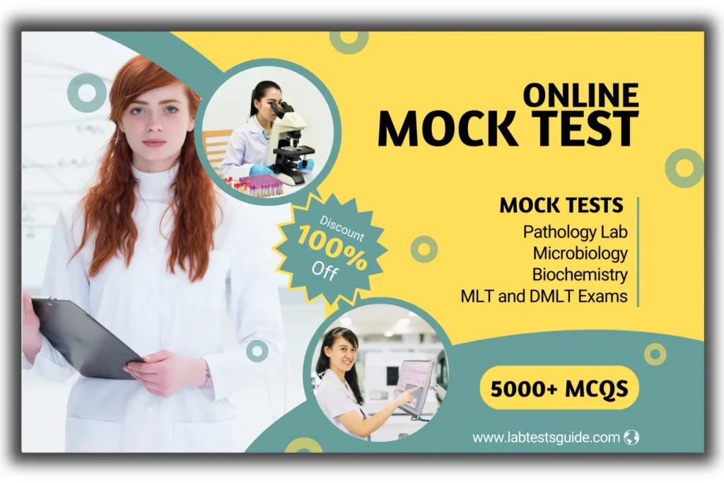 Mock Test